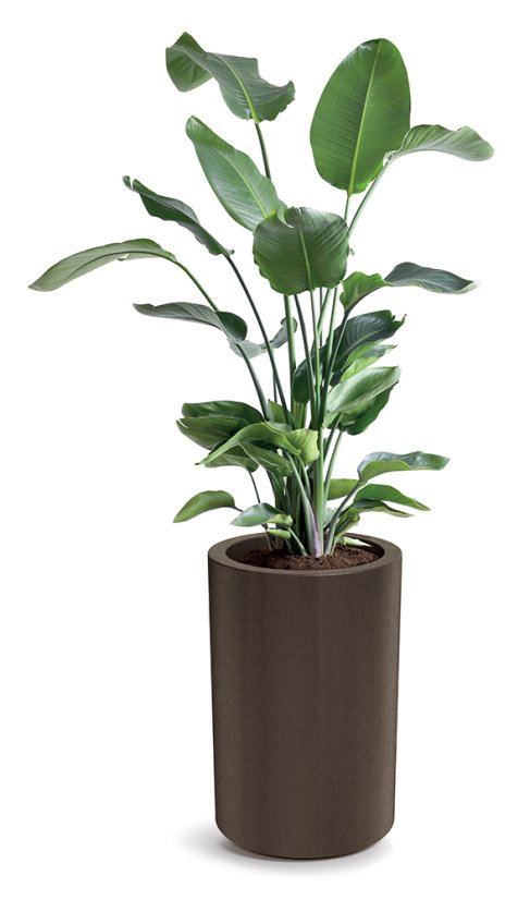 Květináč TUBLA ROUND HIGH 38 cm - barva: tmavě šedá