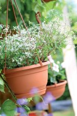 Květináč AGRO zavěsný s hákem 24 cm - barva: terakota
