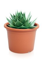 Kvetináč PLASTICA 9 cm - barva: terakota