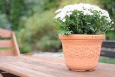 Květináč SUNNY 30 cm - barva: cihla