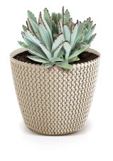Květináč SPLOFY WOOD 15,7 cm - barva: antracit