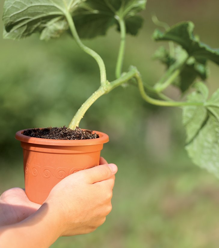 Květináč PLASTICA 9 cm - barva: terakota