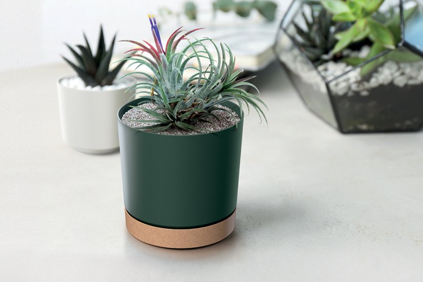 Květináč TUBO PM s miskou 23,9 cm - barva: bílá/naturo