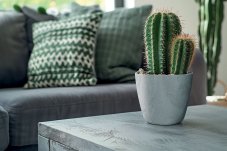 Květináč MATE BETON EFFECT 15,8 cm - barva: antracit