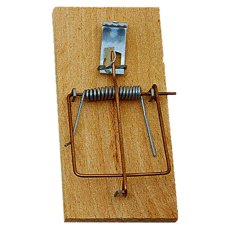 Past | na myši drevená 4,5x10 cm