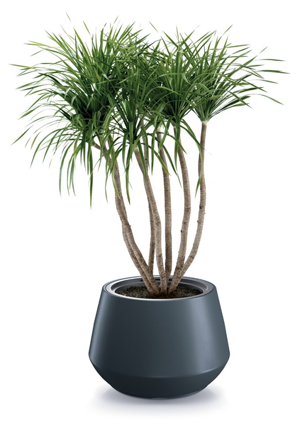 Květináč HEOS s vkladem 58,2 cm - barva: bílá